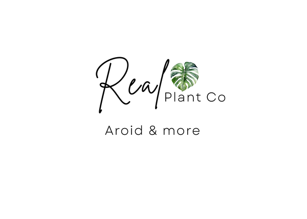 Real Plant Co